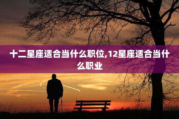 十二星座适合当什么职位,12星座适合当什么职业