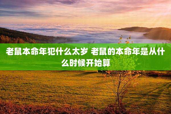 老鼠本命年犯什么太岁 老鼠的本命年是从什么时候开始算