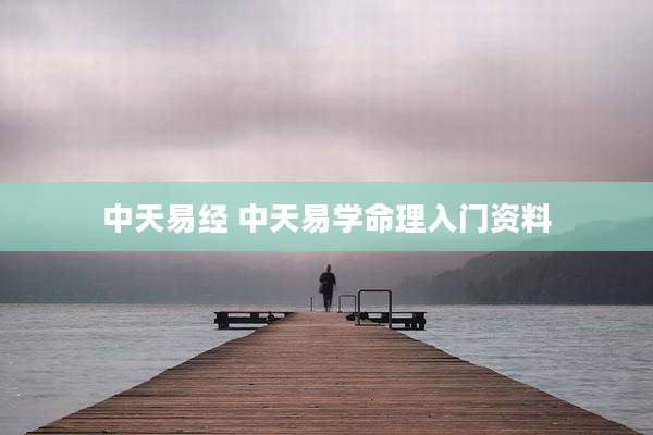 中天易经 中天易学命理入门资料