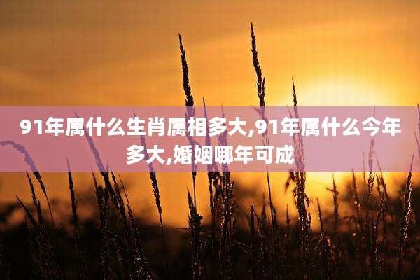 91年属什么生肖属相多大,91年属什么今年多大,婚姻哪年可成