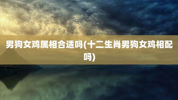 男狗女鸡属相合适吗(十二生肖男狗女鸡相配吗)