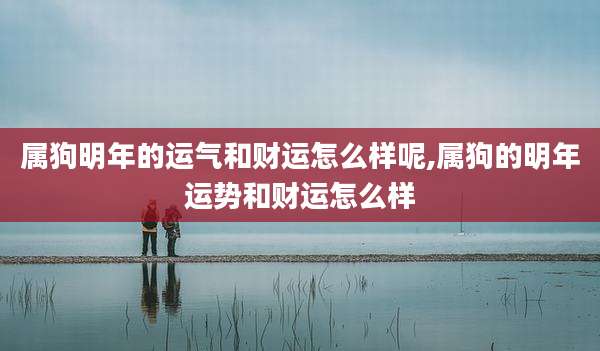 属狗明年的运气和财运怎么样呢,属狗的明年运势和财运怎么样