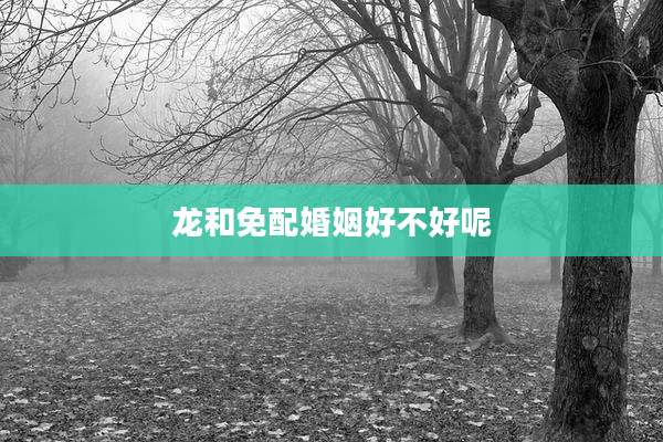 龙和免配婚姻好不好呢