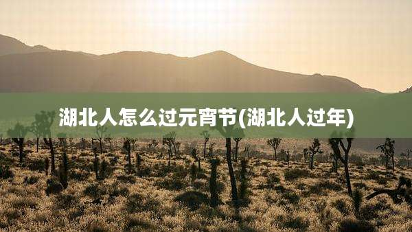 湖北人怎么过元宵节(湖北人过年)