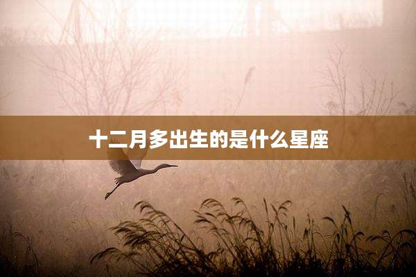 十二月多出生的是什么星座