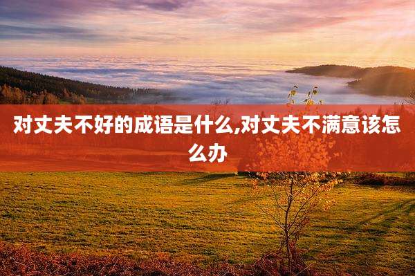 对丈夫不好的成语是什么,对丈夫不满意该怎么办