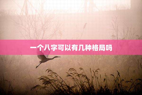 一个八字可以有几种格局吗