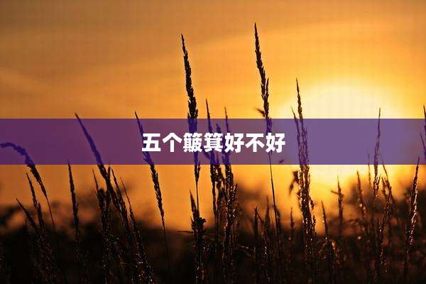 五个簸箕好不好