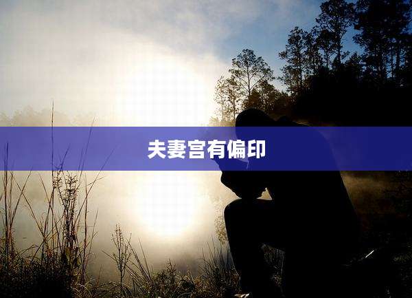 夫妻宫有偏印