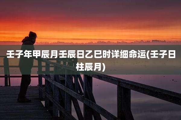 壬子年甲辰月壬辰日乙巳时详细命运(壬子日柱辰月)