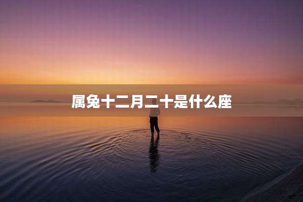 属兔十二月二十是什么座