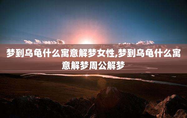 梦到乌龟什么寓意解梦女性,梦到乌龟什么寓意解梦周公解梦