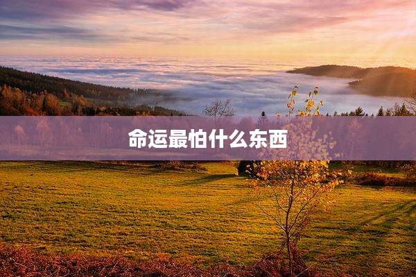命运最怕什么东西