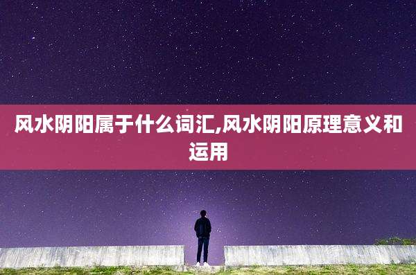 风水阴阳属于什么词汇,风水阴阳原理意义和运用