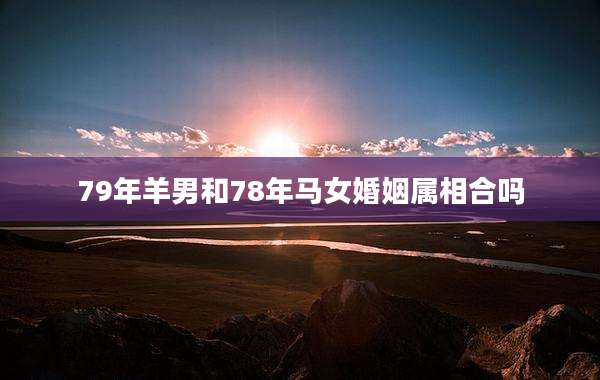 79年羊男和78年马女婚姻属相合吗