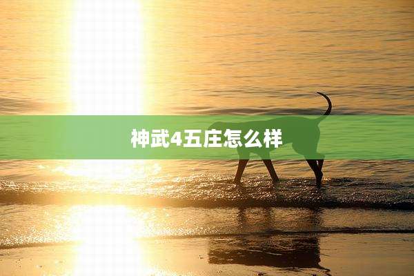 神武4五庄怎么样