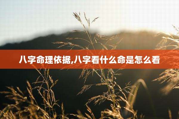 八字命理依据,八字看什么命是怎么看