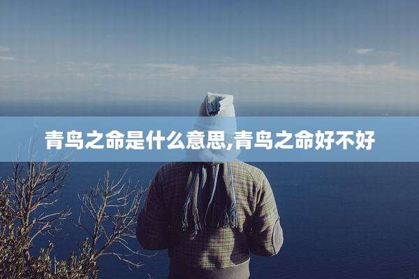 青鸟之命是什么意思,青鸟之命好不好