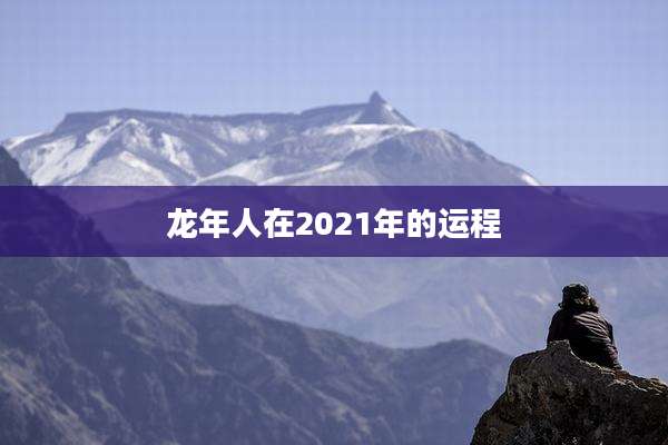 龙年人在2021年的运程