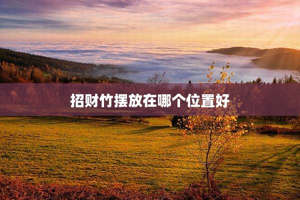招财竹摆放在哪个位置好
