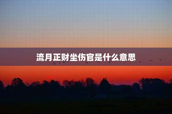 流月正财坐伤官是什么意思