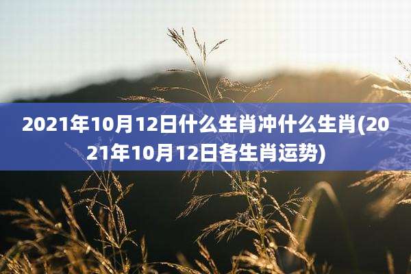 2021年10月12日什么生肖冲什么生肖(2021年10月12日各生肖运势)