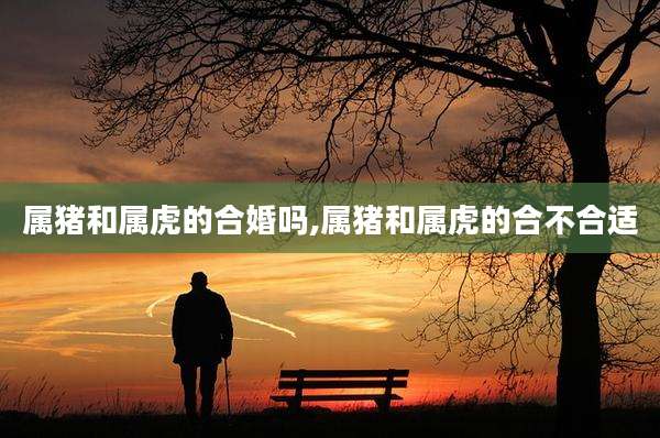 属猪和属虎的合婚吗,属猪和属虎的合不合适