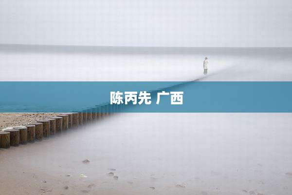 陈丙先 广西