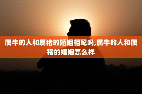 属牛的人和属猪的婚姻相配吗,属牛的人和属猪的婚姻怎么样