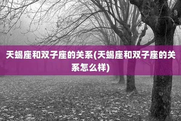 天蝎座和双子座的关系(天蝎座和双子座的关系怎么样)