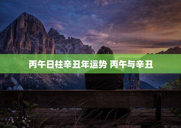 丙午日柱辛丑年运势 丙午与辛丑