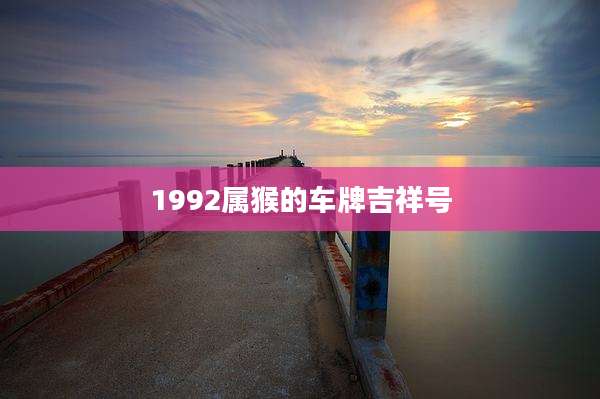 1992属猴的车牌吉祥号
