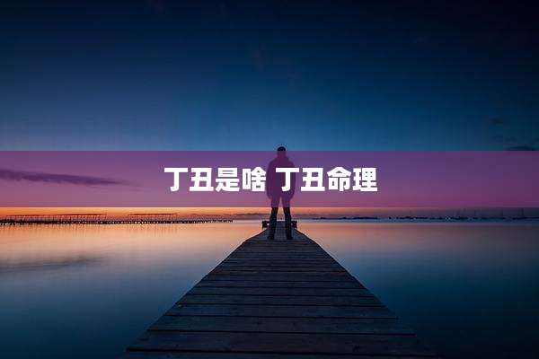 丁丑是啥 丁丑命理