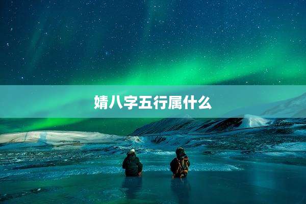 婧八字五行属什么