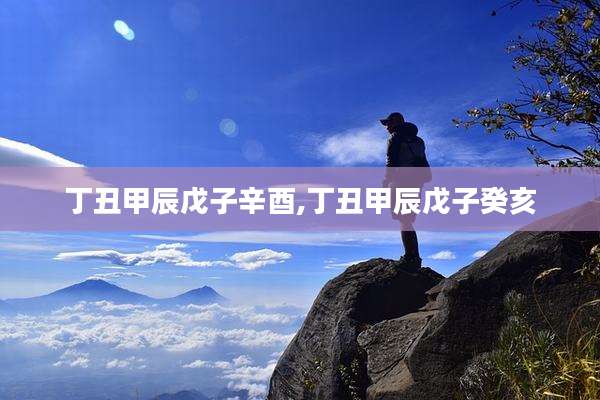 丁丑甲辰戊子辛酉,丁丑甲辰戊子癸亥