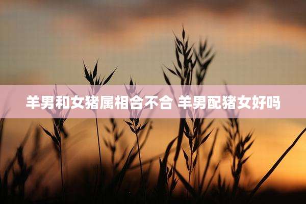 羊男和女猪属相合不合 羊男配猪女好吗