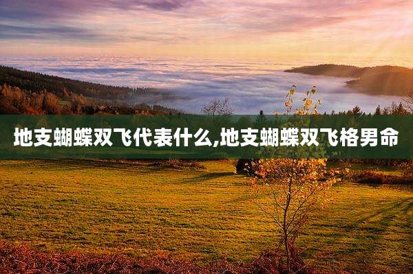 地支蝴蝶双飞代表什么,地支蝴蝶双飞格男命