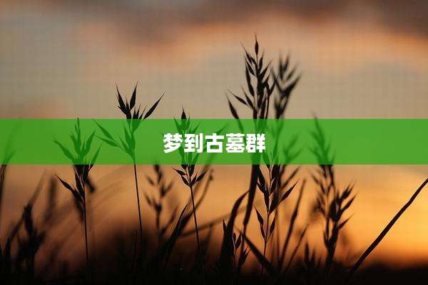 梦到古墓群