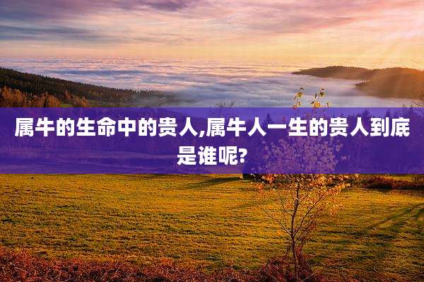 属牛的生命中的贵人,属牛人一生的贵人到底是谁呢?