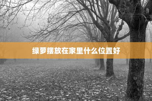 绿萝摆放在家里什么位置好