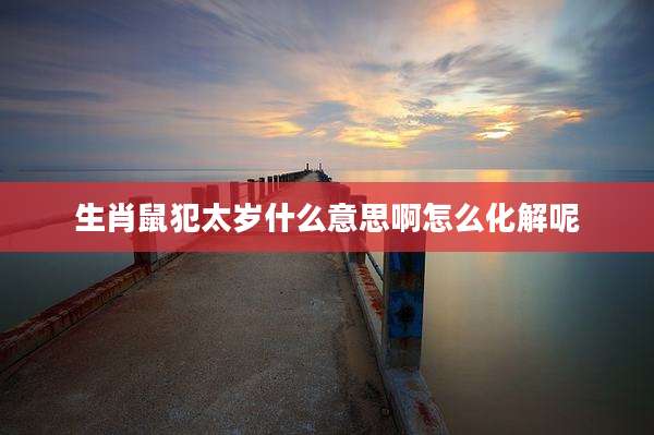 生肖鼠犯太岁什么意思啊怎么化解呢