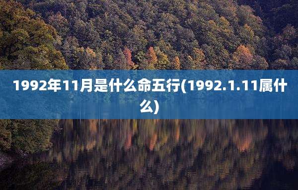 1992年11月是什么命五行(1992.1.11属什么)