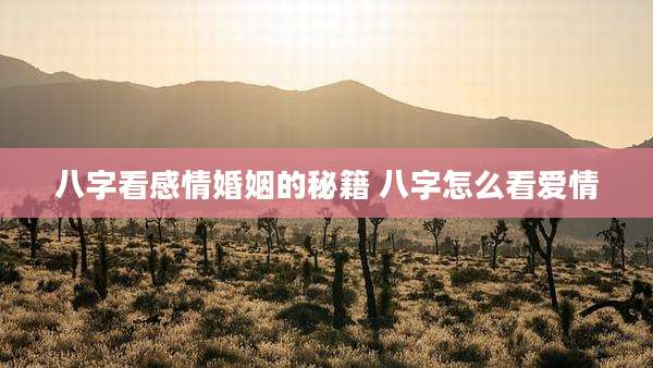 八字看感情婚姻的秘籍 八字怎么看爱情