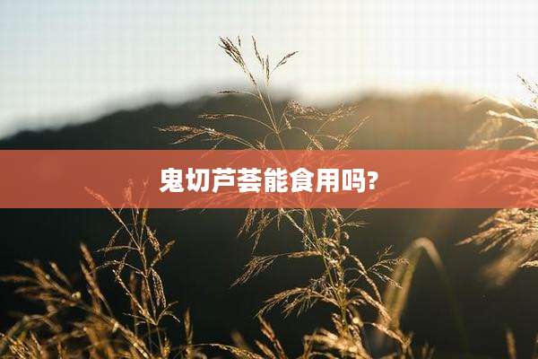 鬼切芦荟能食用吗?