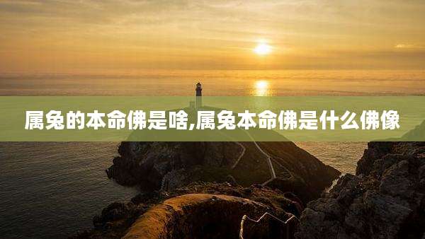 属兔的本命佛是啥,属兔本命佛是什么佛像