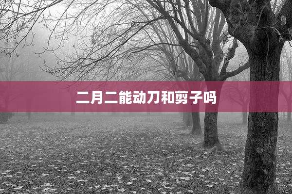 二月二能动刀和剪子吗