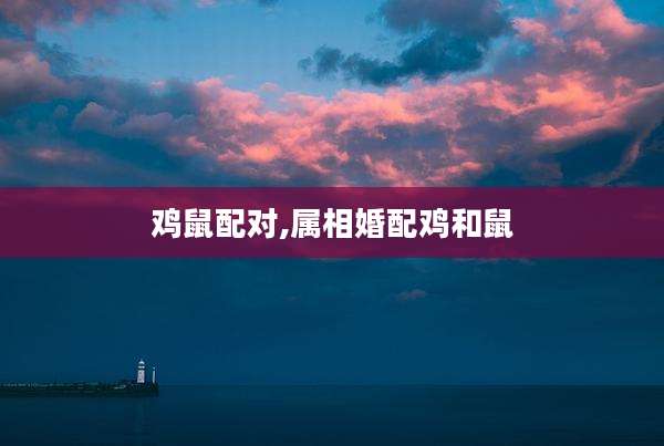 鸡鼠配对,属相婚配鸡和鼠