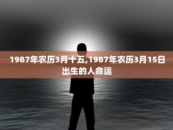 1987年农历3月十五,1987年农历3月15日出生的人命运