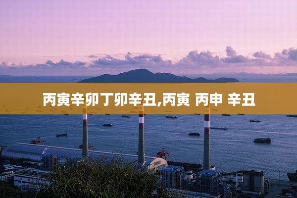 丙寅辛卯丁卯辛丑,丙寅 丙申 辛丑