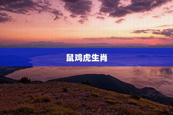 鼠鸡虎生肖